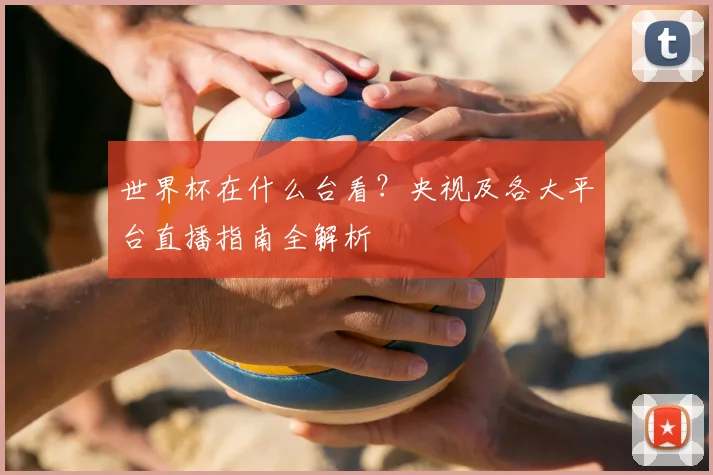 世界杯在什么台看？央视及各大平台直播指南全解析