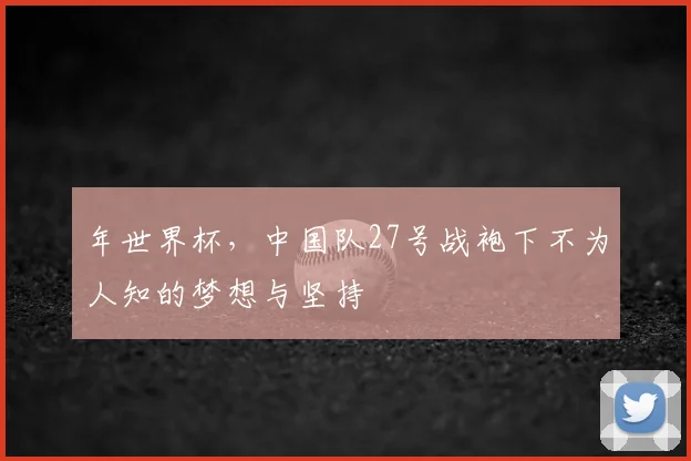 年世界杯,中国队27号战袍下不为人知的梦想与坚持