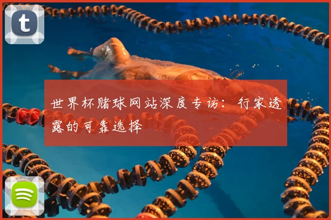 世界杯赌球网站深度专访:行家透露的可靠选择