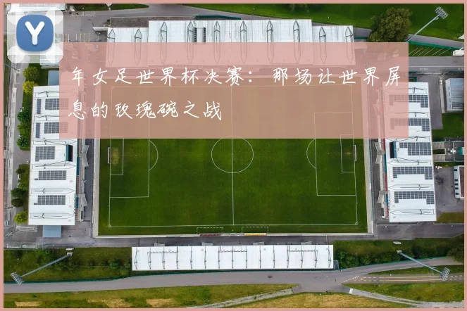 年女足世界杯决赛：那场让世界屏息的玫瑰碗之战