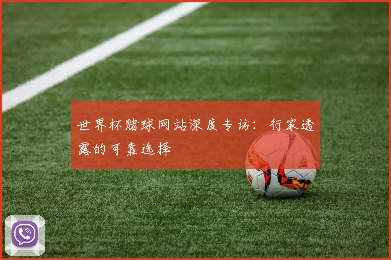 世界杯赌球网站深度专访:行家透露的可靠选择