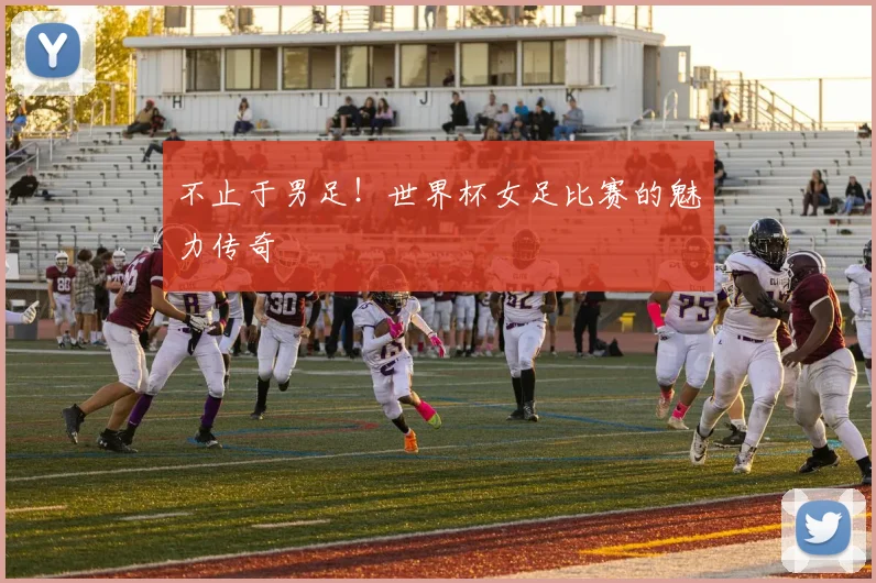 不止于男足!世界杯女足比赛的魅力传奇