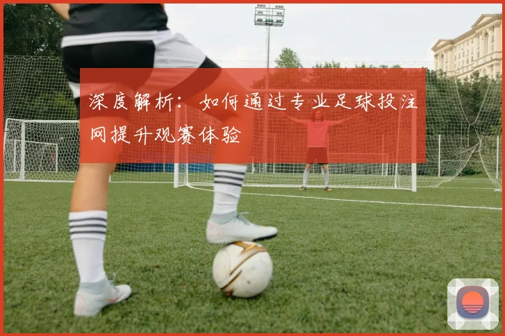 深度解析：如何通过专业足球投注网提升观赛体验